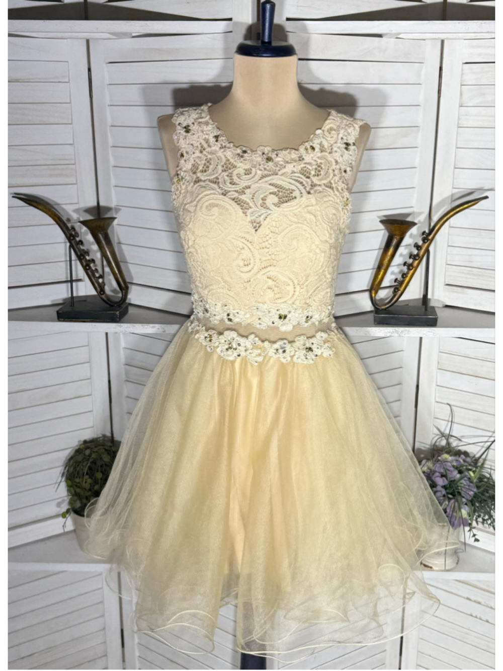Dancing Queen cream floral sheer mesh dress beaded fairy princess homecoming M